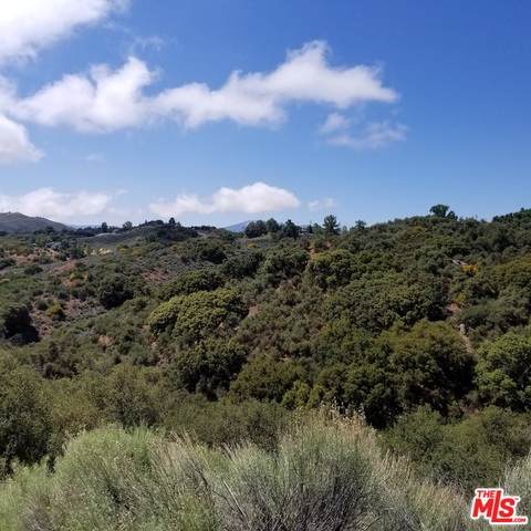 26100 Rifle Ct - Photo 1