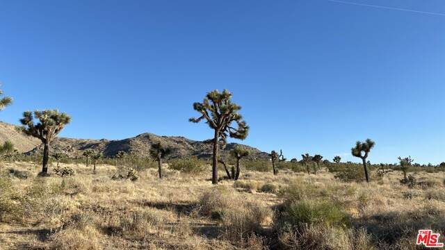 59653 Alta Loma Dr - Photo 1