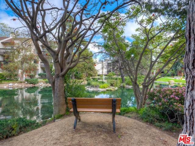 14202 Summertime Ln - Photo 1