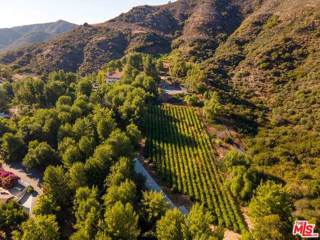 24969 Mulholland Hwy - Photo 1