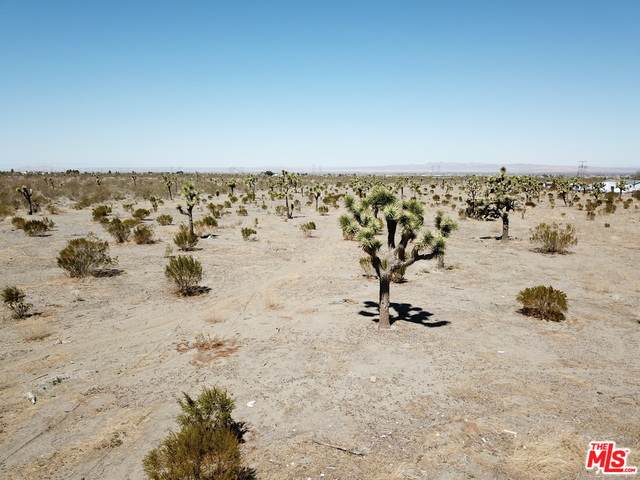 Gorgonio Rd - Photo 1