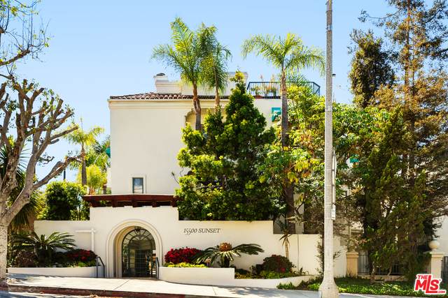 15500 Sunset Blvd - Photo 1
