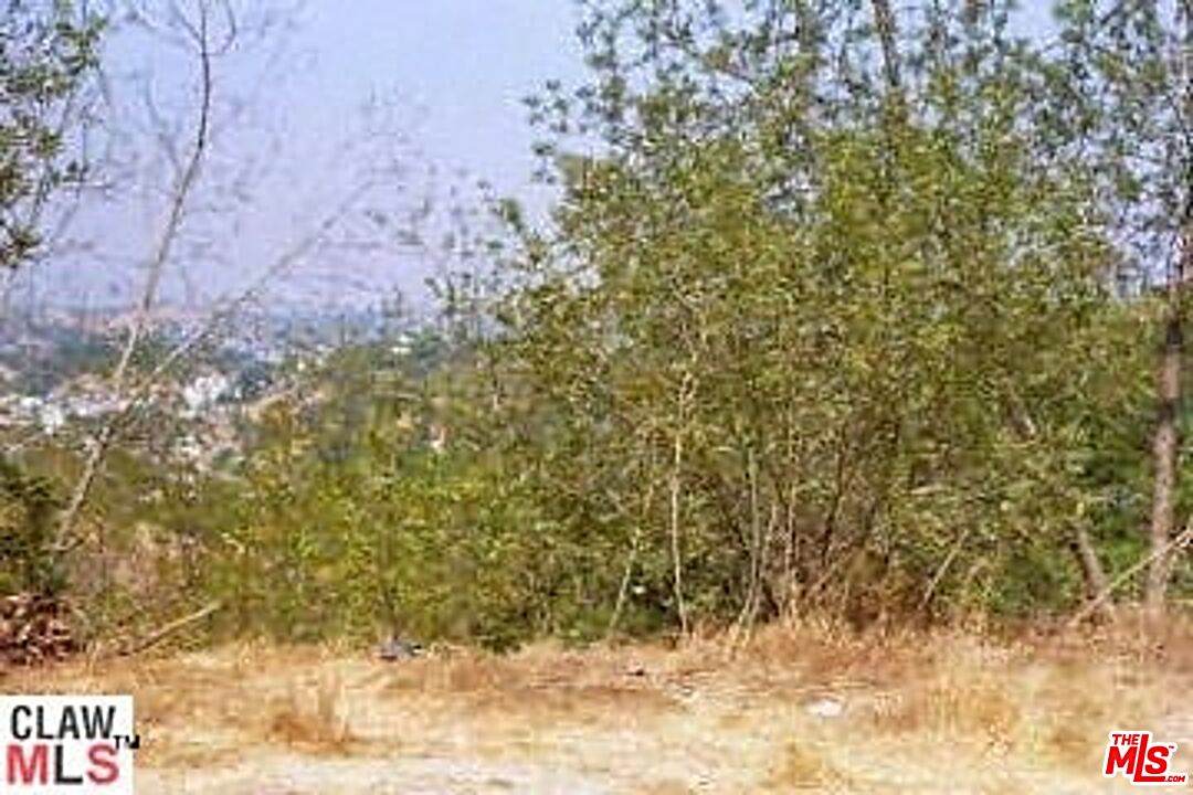 2840 Paradise Dr - Photo 1