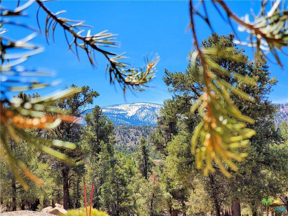0 Ponderosa Ranch Rd - Photo 1