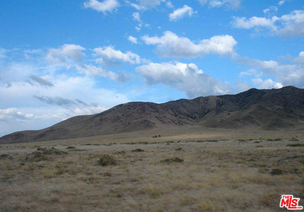 16390 Black Rock Cutoff - Photo 1