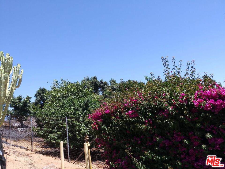 0 Canyon Heights Rd - Photo 1
