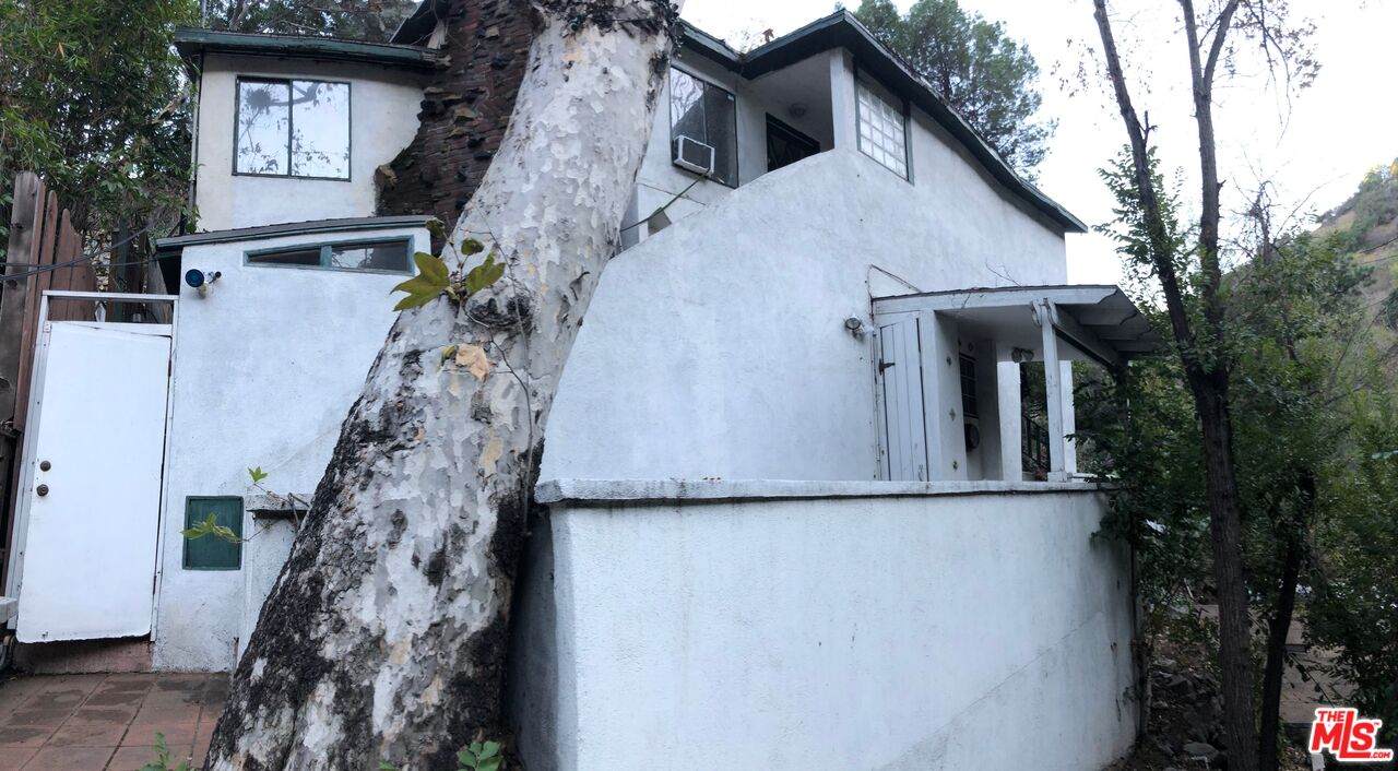 2256 Laurel Canyon Blvd - Photo 1