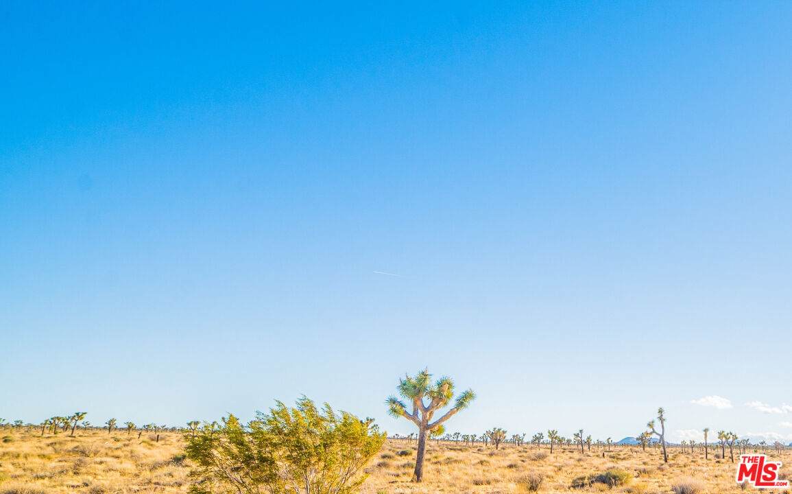 0 172nd St - Photo 1