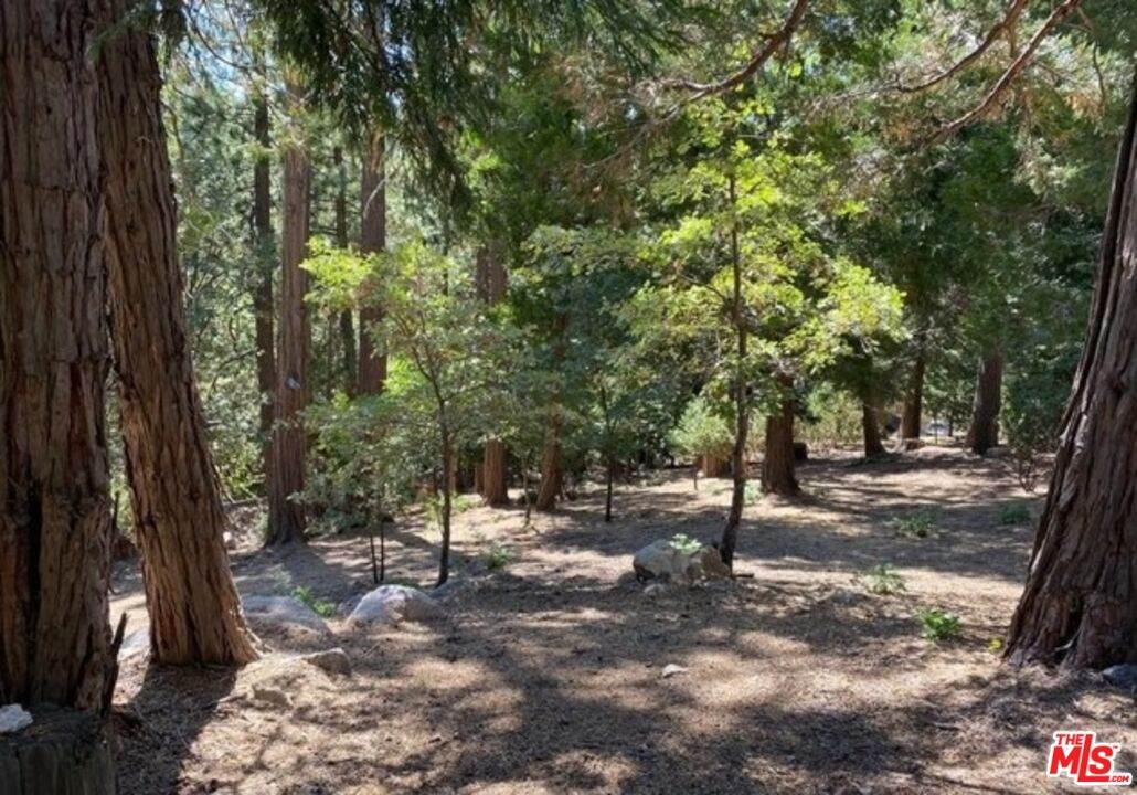 0 Grass Valley - Photo 1