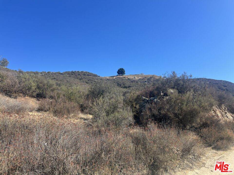 0 Crab Hallow - Photo 1