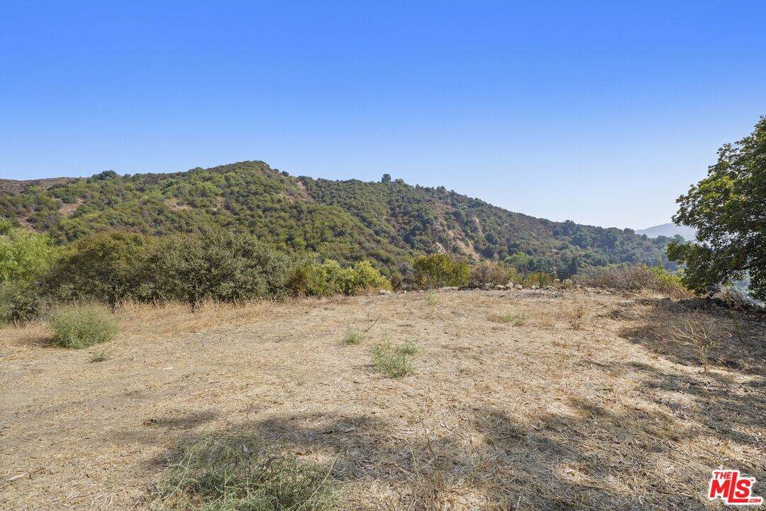 2088-3/4 Topanga Skyline Dr - Photo 1