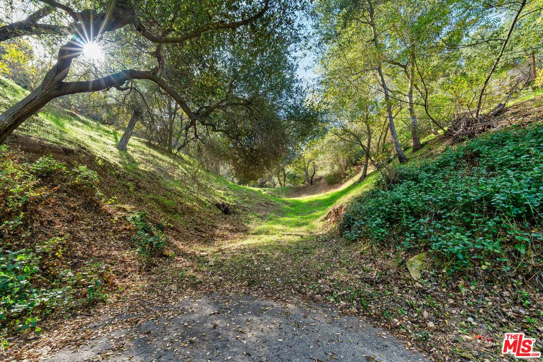 https://bt-photos.global.ssl.fastly.net/carets/orig_boomver_1_25616439-2.jpg