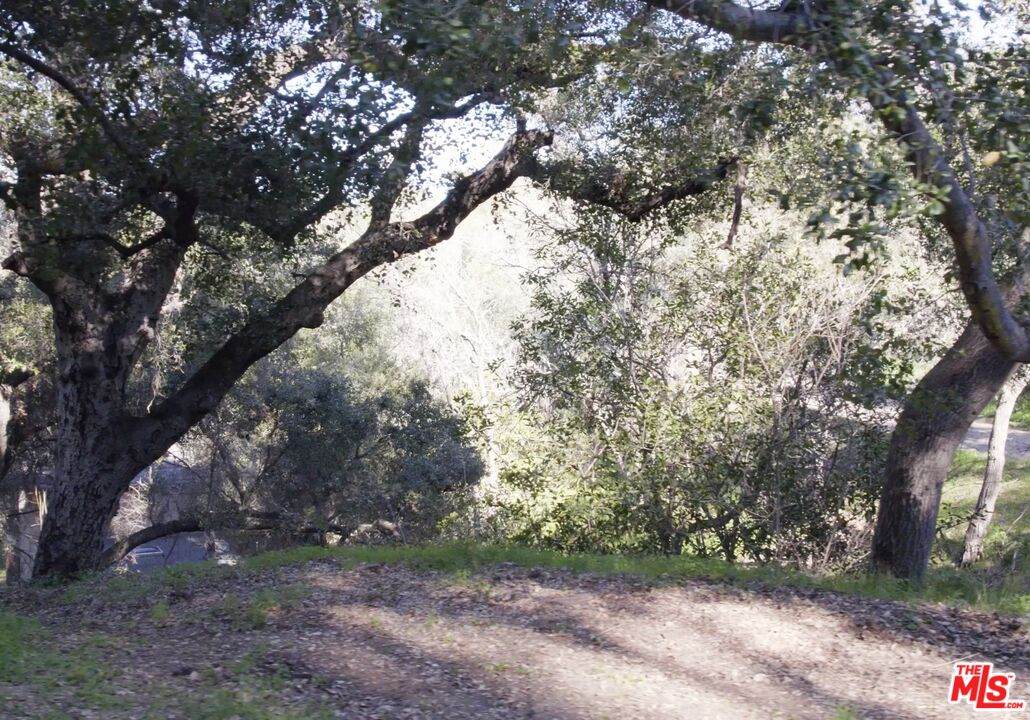 21050 Winfield Rd - Photo 1