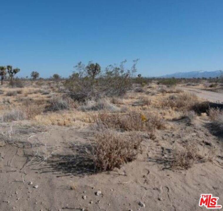 0 Primrose Rd - Photo 1