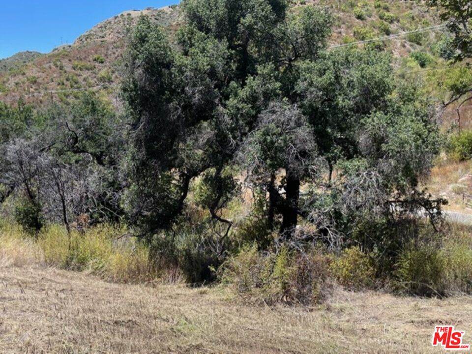 https://bt-photos.global.ssl.fastly.net/carets/orig_boomver_1_26658173-2.jpg