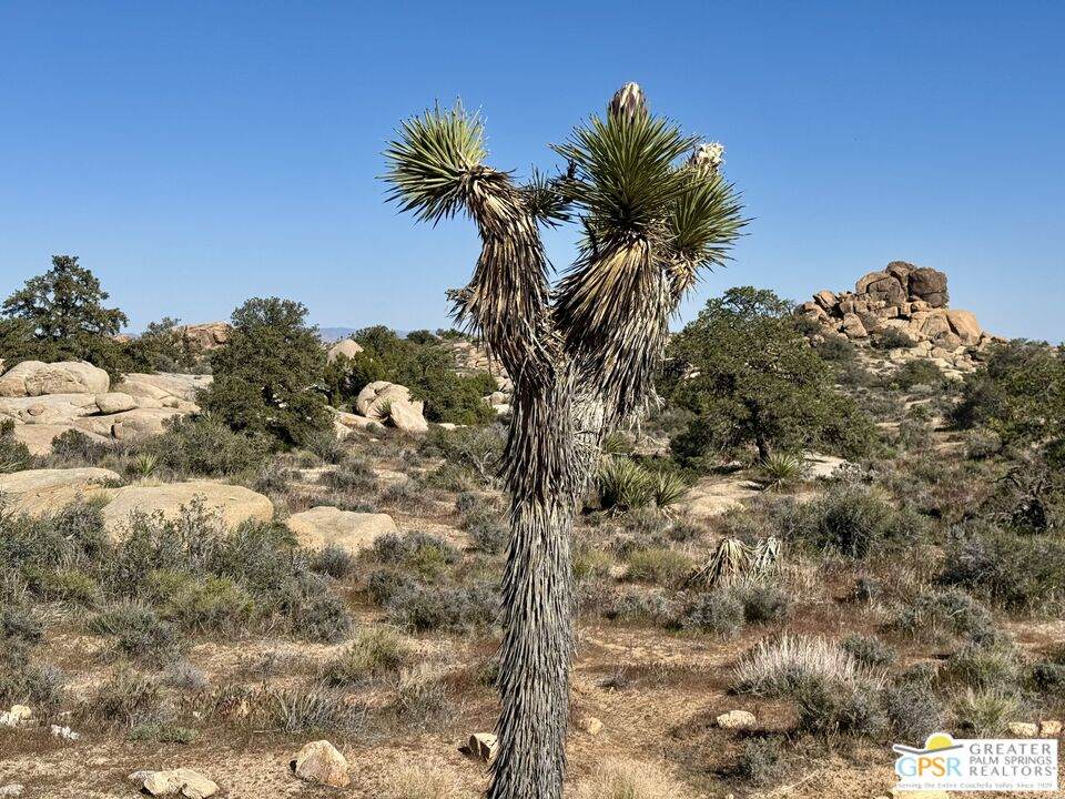 900 Parsons Ranch Rd - Photo 1