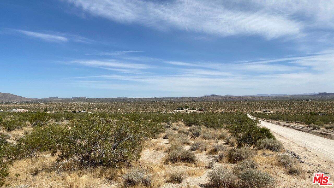 6800 Mojave Ranch Rd - Photo 1