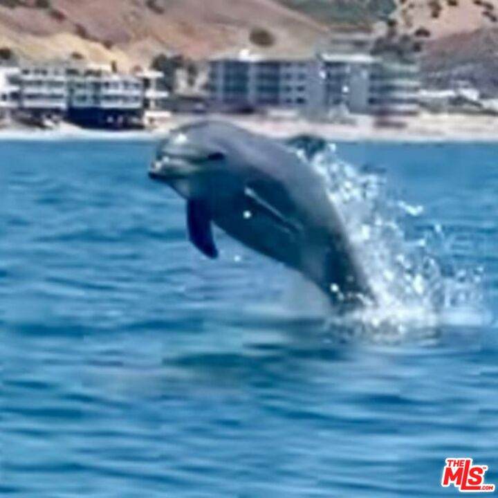 https://bt-photos.global.ssl.fastly.net/carets/orig_boomver_1_26669691-2.jpg