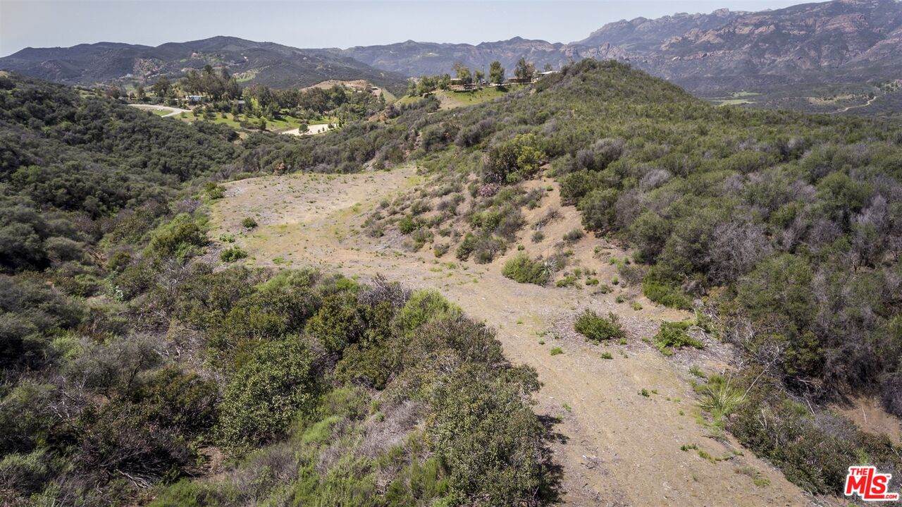 https://bt-photos.global.ssl.fastly.net/carets/orig_boomver_1_26727305-2.jpg