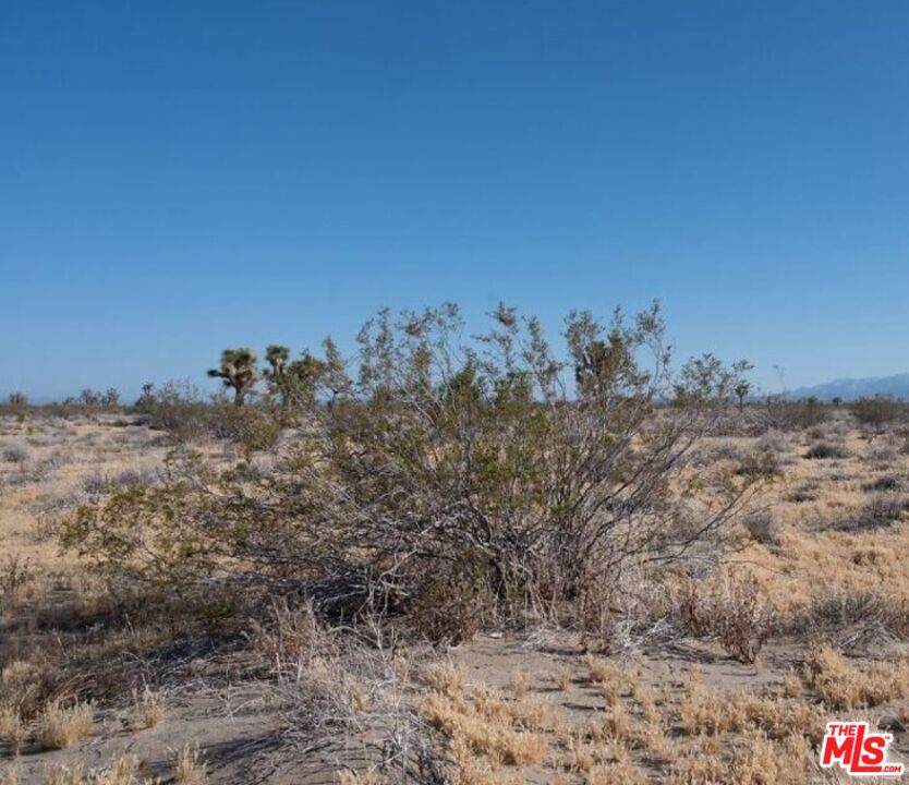 0 Colorado Rd - Photo 1