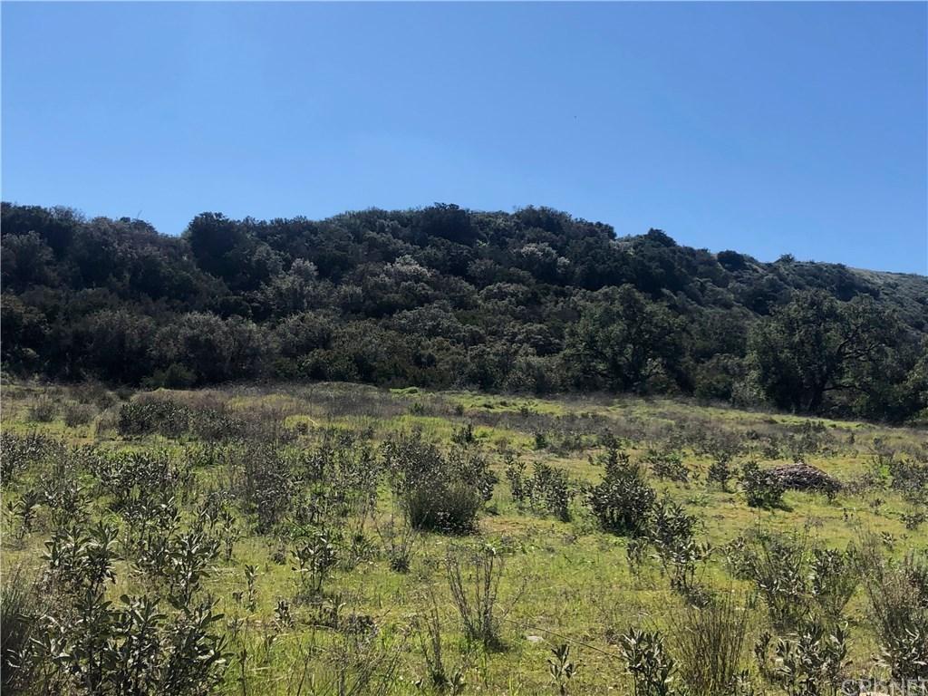 0 Hasley Canyon Road - Photo 1