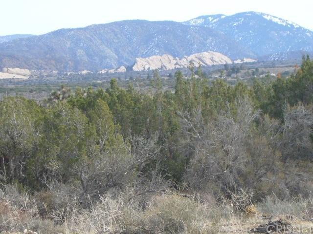 0 Vac/Juniper Hills Rd/Vic 121 S - Photo 1