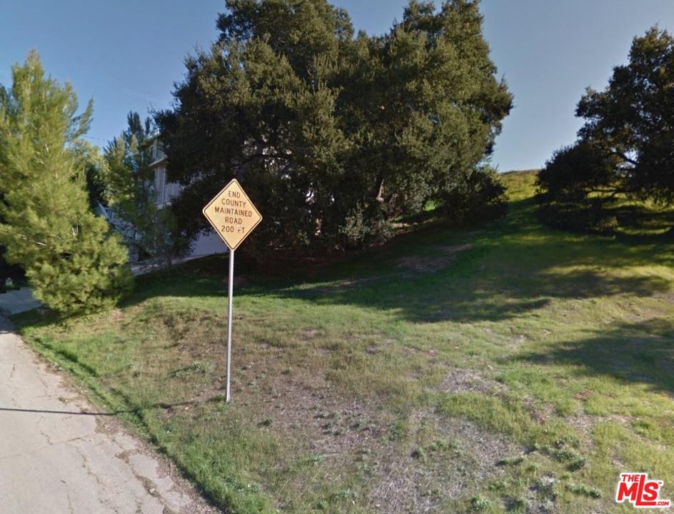 30124 Trevyelon Street - Photo 1