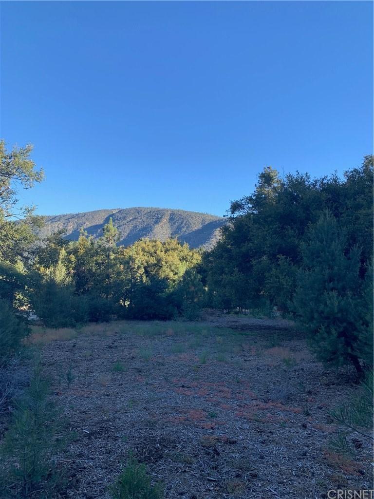 15404 Live Oak Way - Photo 1