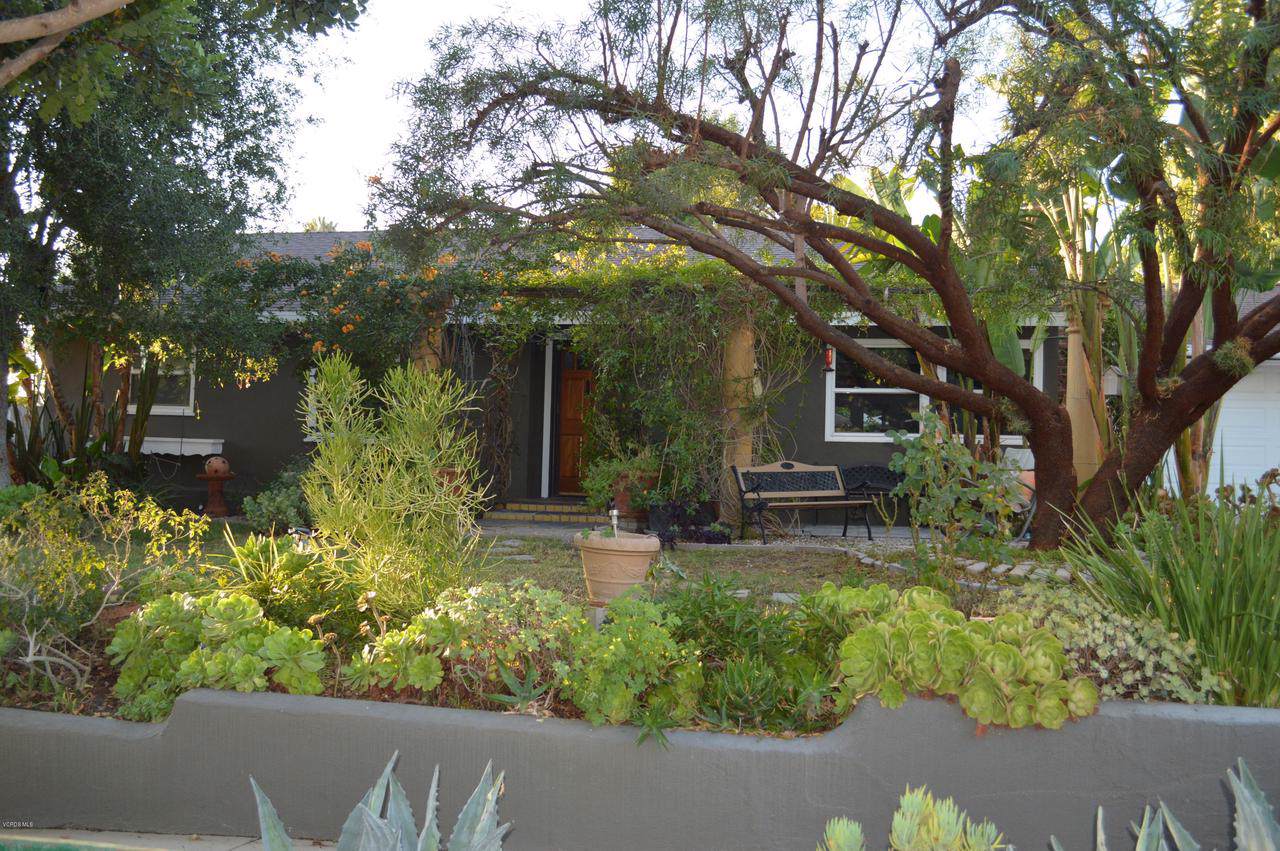 2933 Calle Estepa - Photo 1