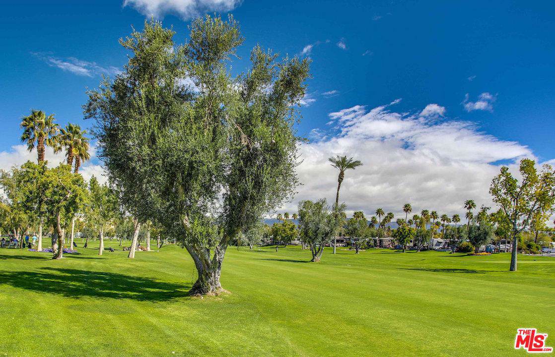 69411 Ramon Road - Photo 1
