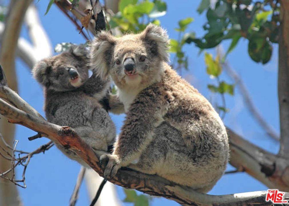 91 Bullock Rd French Island Australia - Photo 1