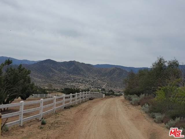 0 Vac/1/2 Mi N Sierra Hwy/Via Gabriel Ave - Photo 1