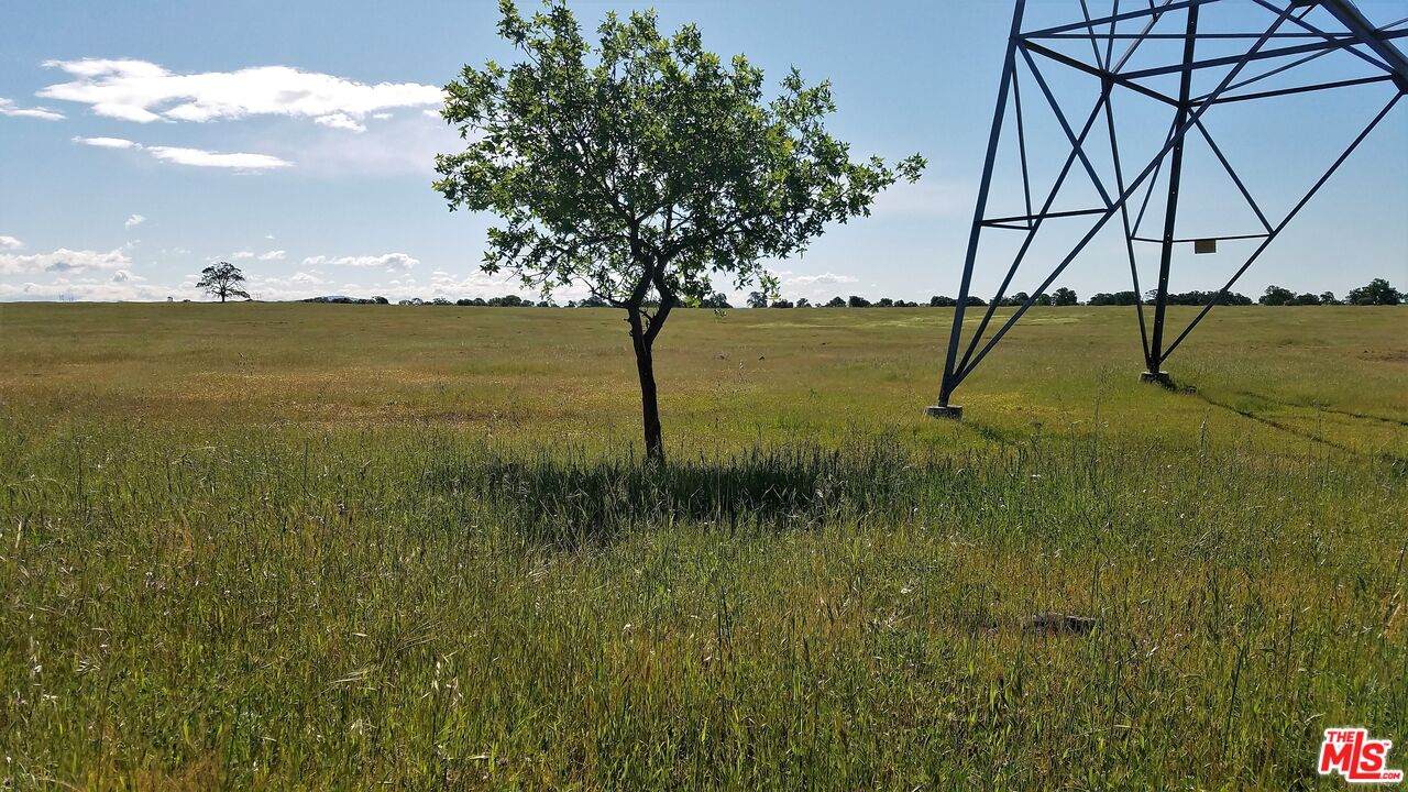 2000 Skyway - Photo 1