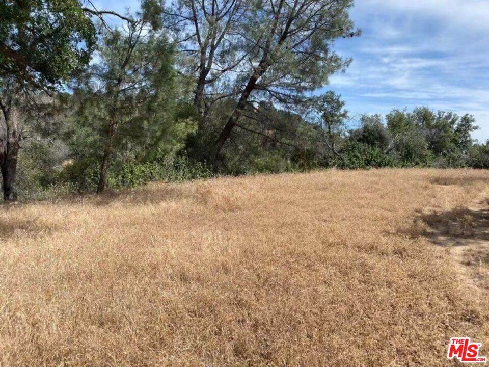 Lookout Mountain Rd - Photo 1