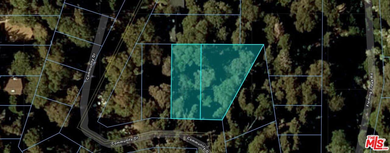 0 Community Dr - Photo 1