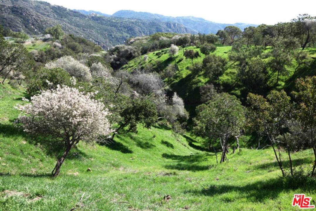 524 Moonrise - Photo 1