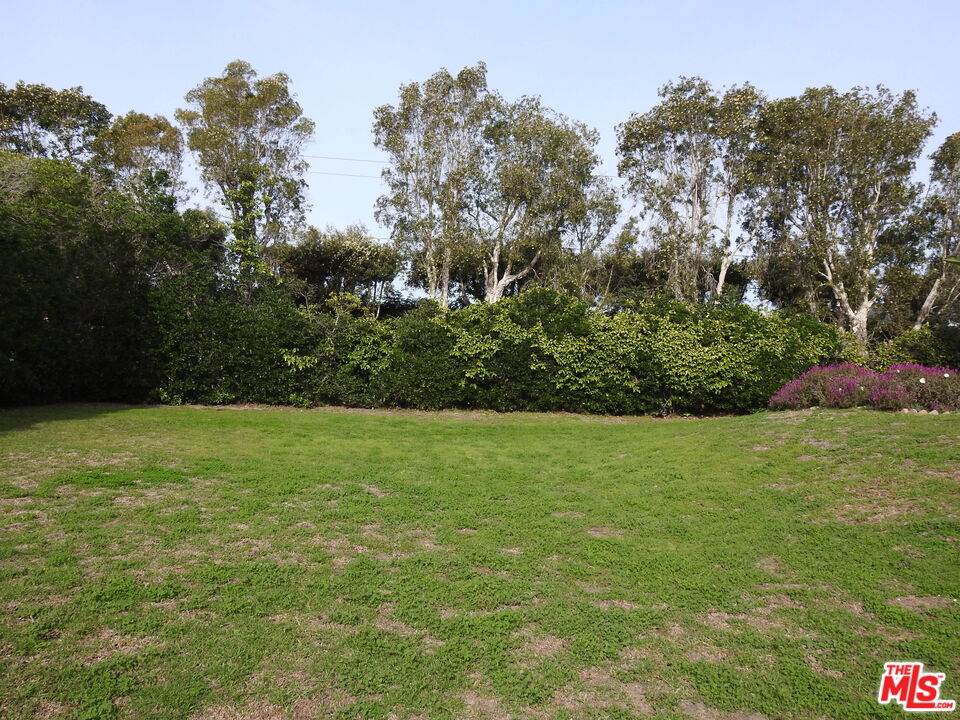 https://bt-photos.global.ssl.fastly.net/carets/orig_boomver_2_26638513-2.jpg