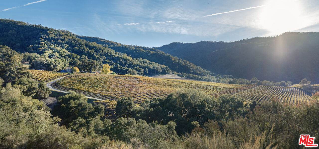 20300 Cachagua Rd - Photo 1