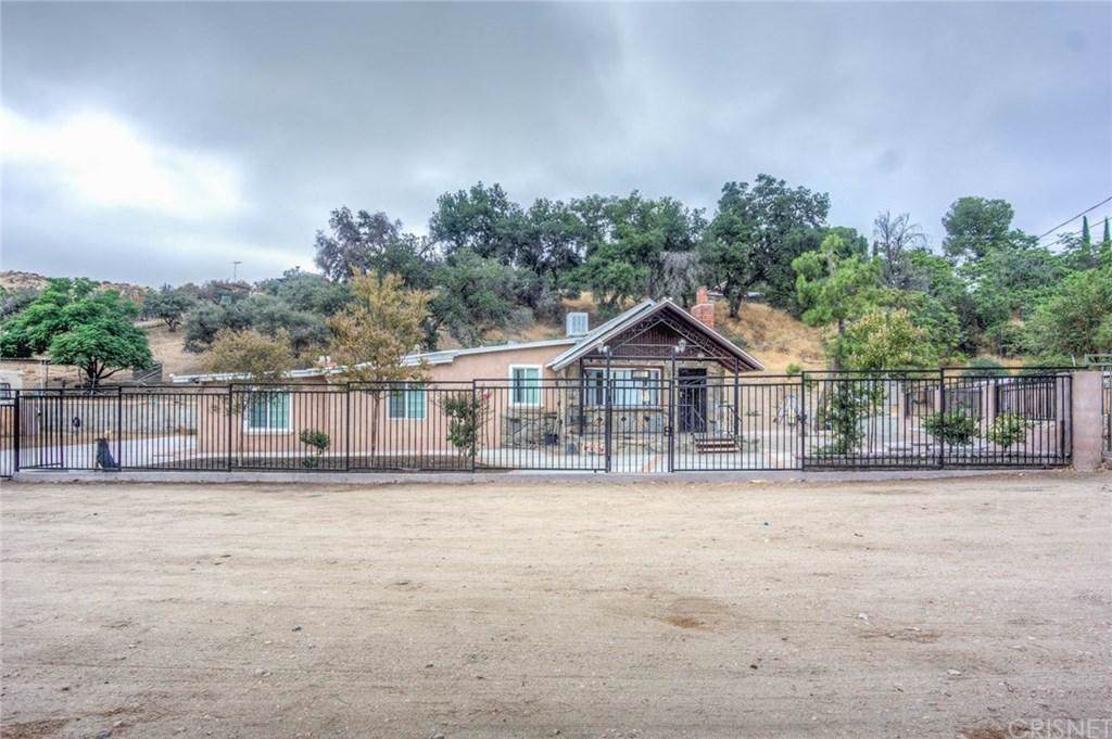 13303 Sierra Highway - Photo 1