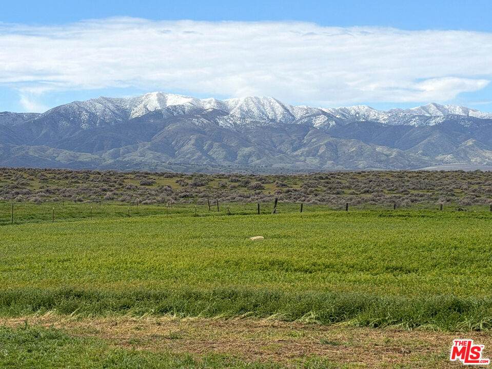 166 Russell Ranch Hwy - Photo 1