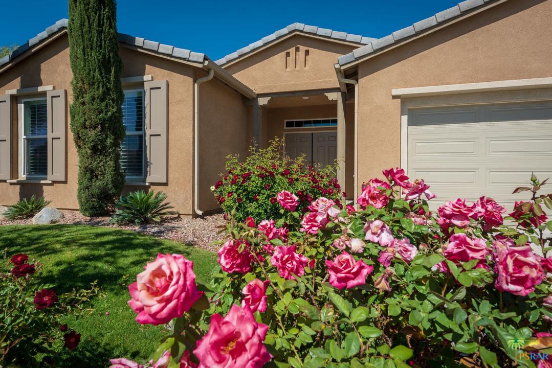 3737 Serenity Trails - Photo 1