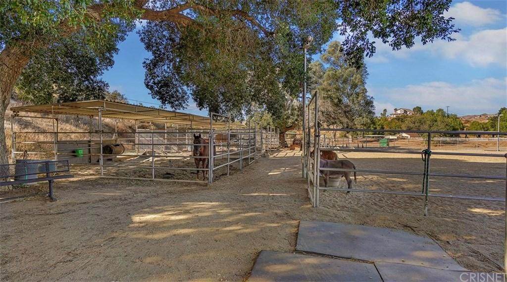 28300 Oak Spring Canyon Road - Photo 1