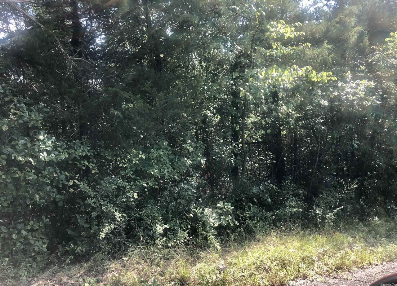 Chickasaw - Photo 1