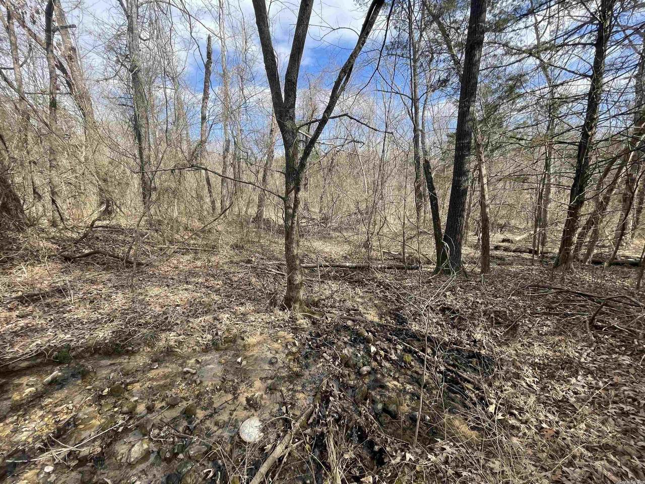 0 Honeysuckle Ln - Photo 1