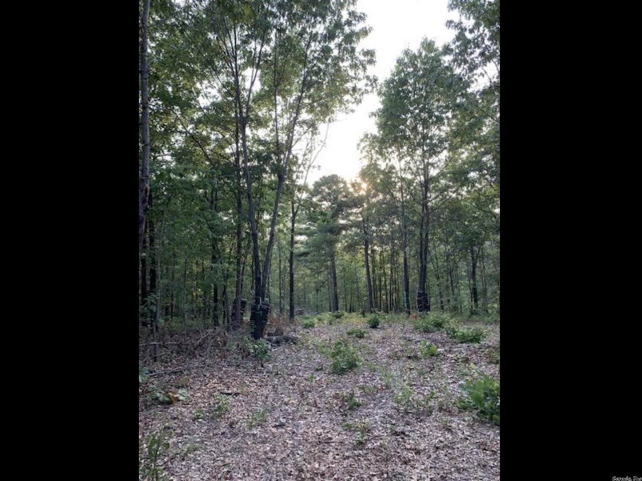 901 Purdom - Photo 1