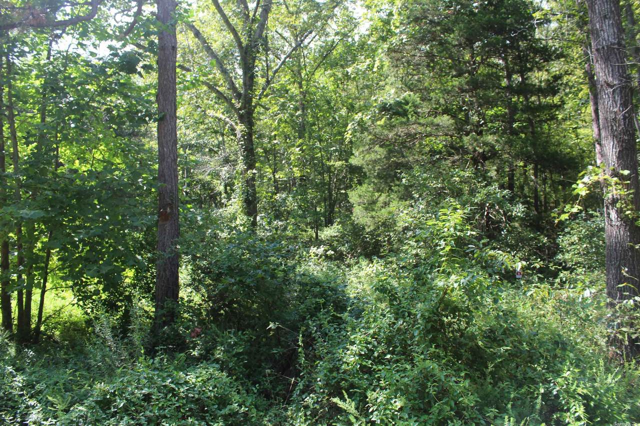 Hill N Hollow - Photo 1