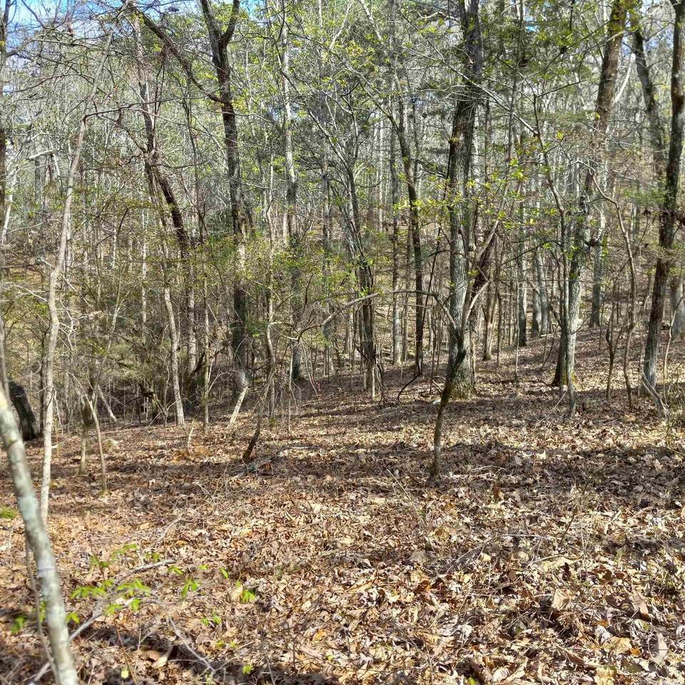 3 Dike View - Photo 1