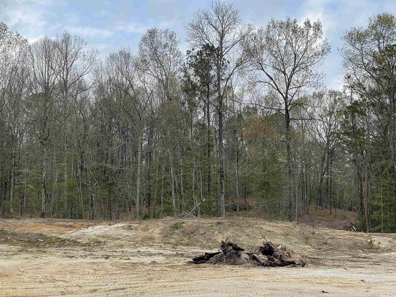 7 Pinedale Cove - Photo 1