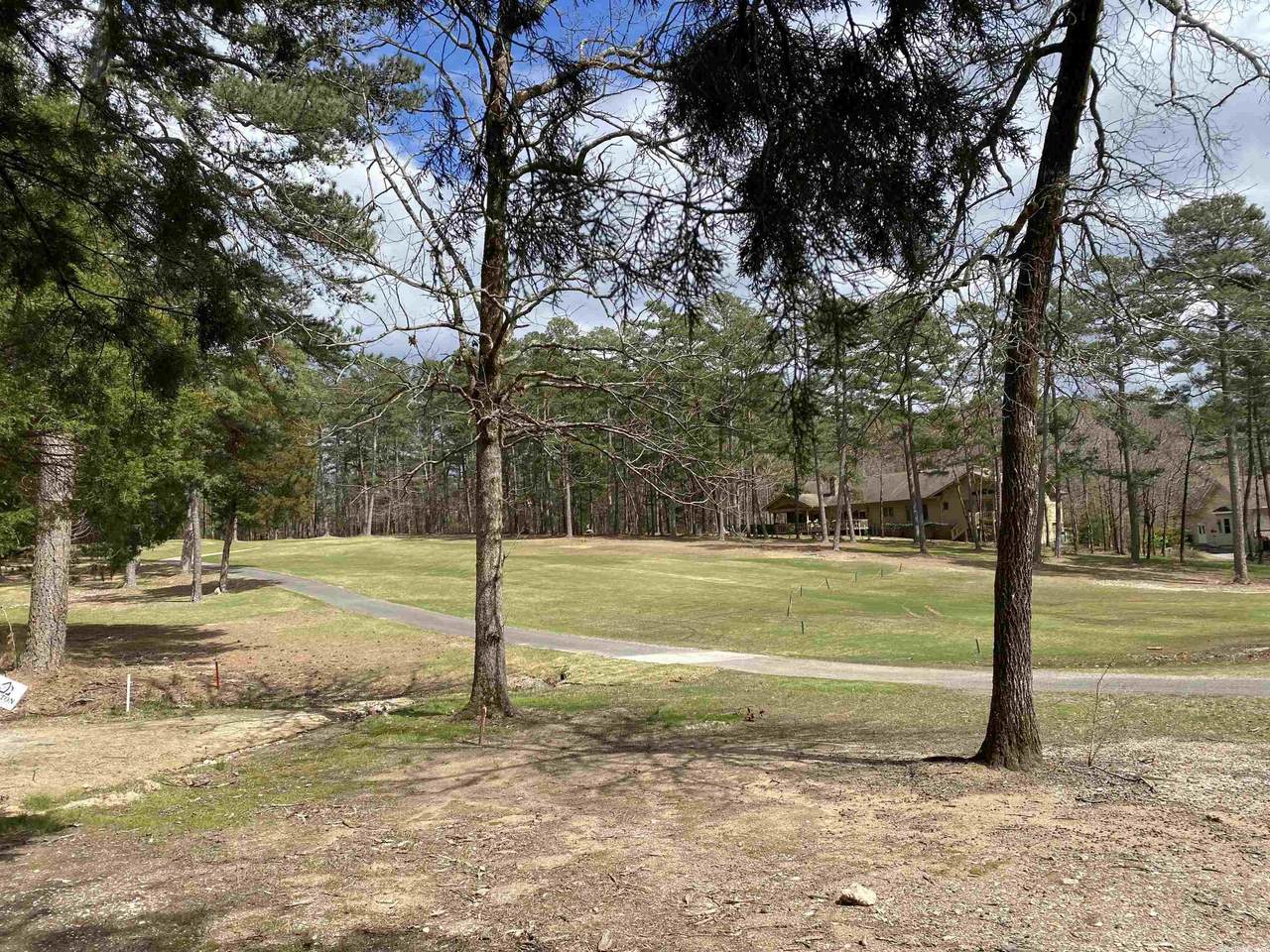 13 Jabali - Photo 1