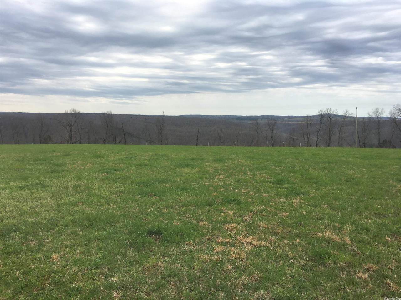 1619 Bowith - Photo 1
